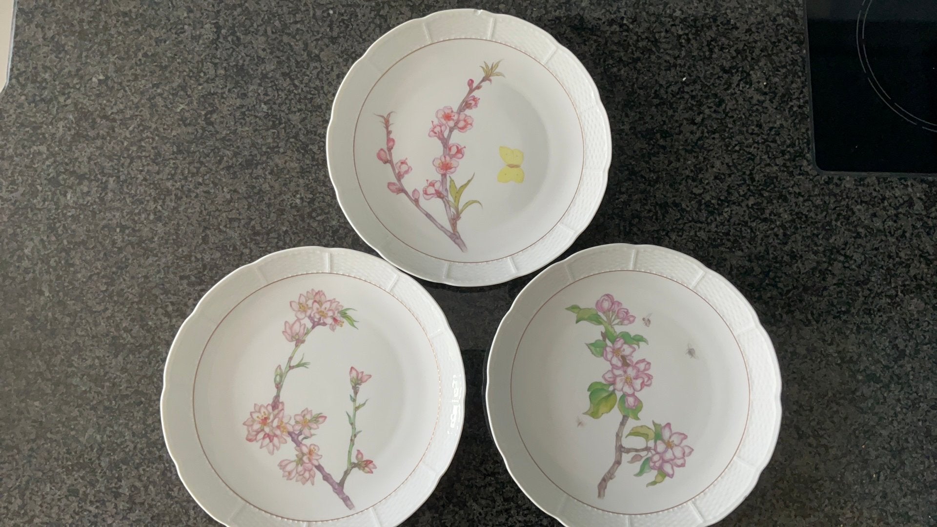 4 Nymphenburg bordjes brocante met botanisch floraal  decor, Ophalen of Verzenden
