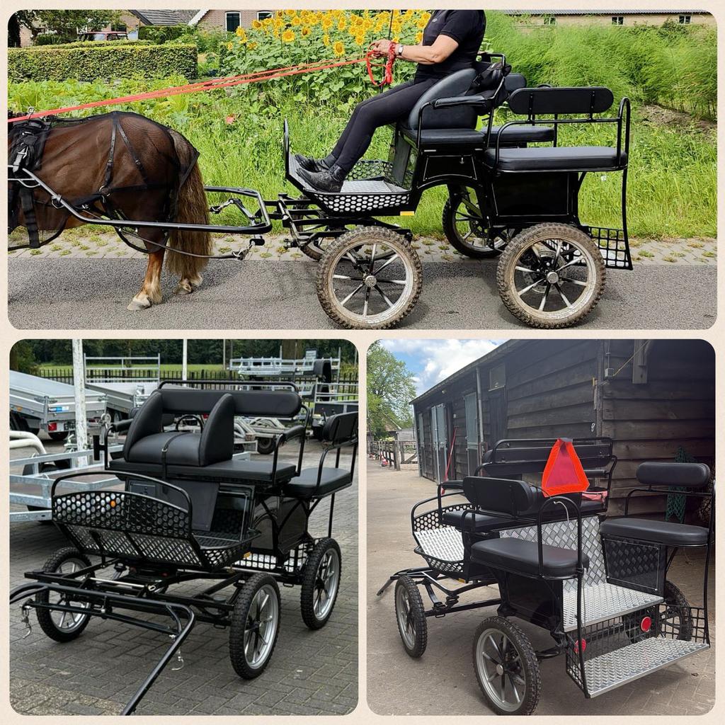 Menwagen recreatiewagen 16 inch wielen zgan, Zo goed als nieuw, Marathonwagen, Pony