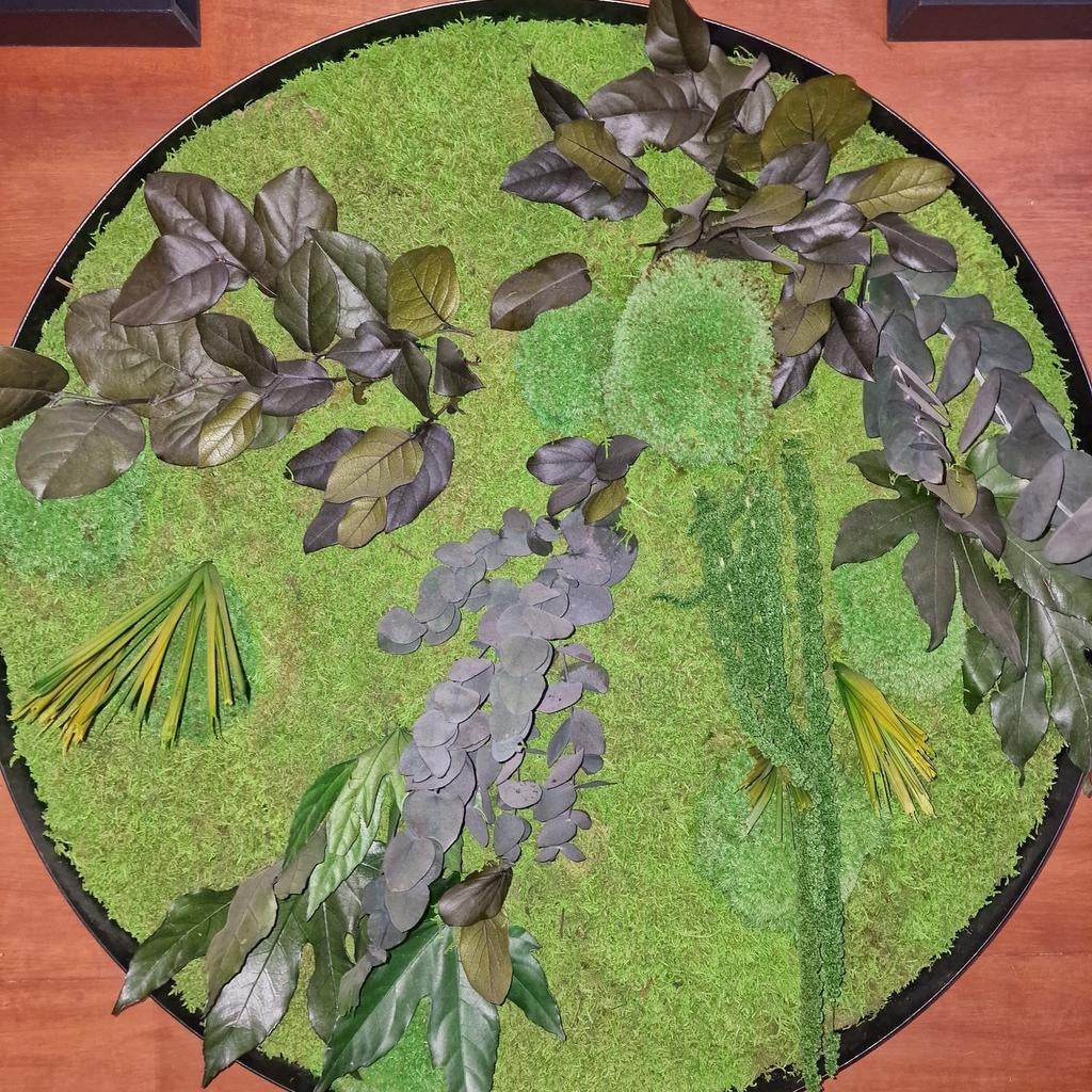 Wandplant / moswand te koop, Ophalen, Halfschaduw, Minder dan 100 cm