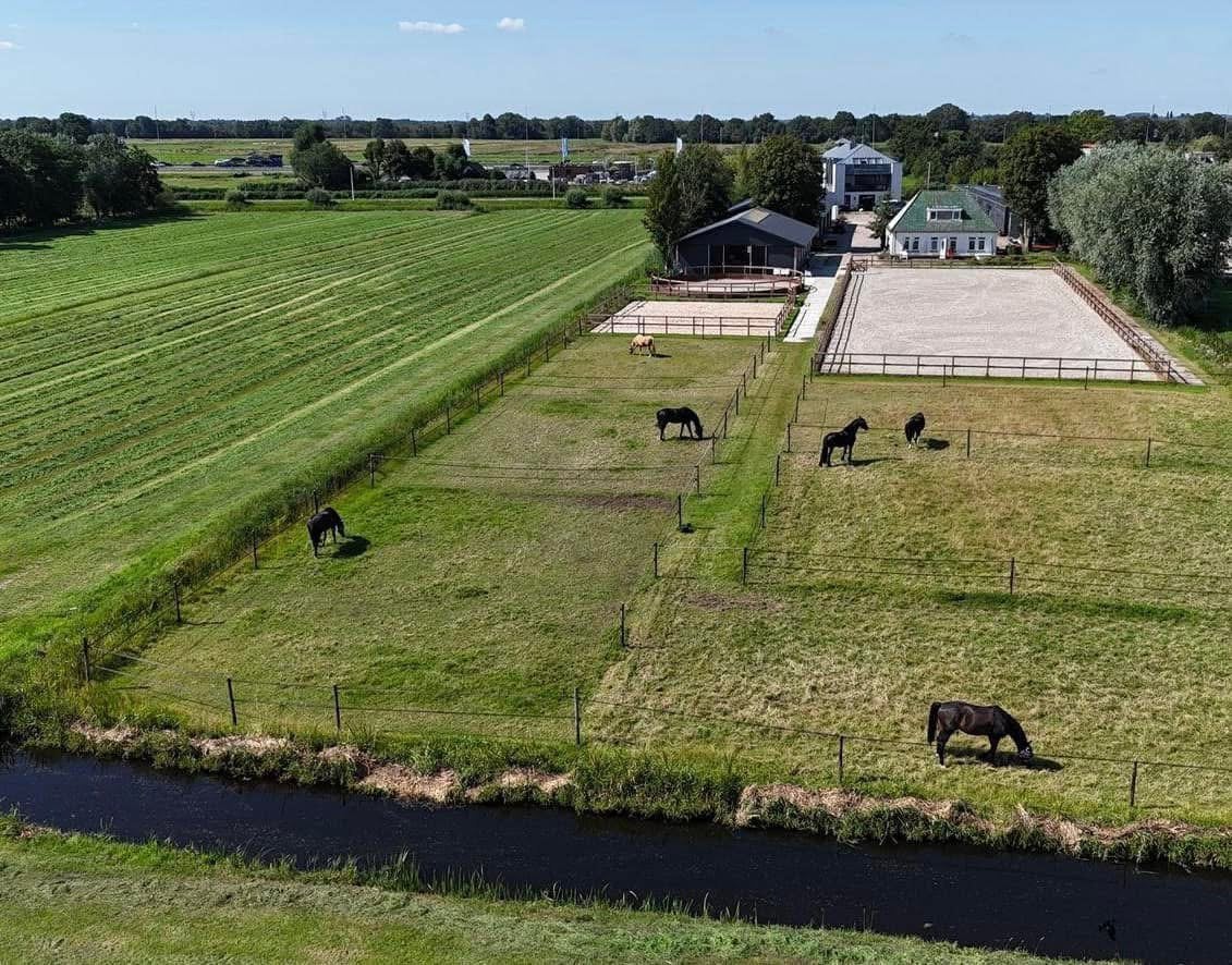Pension/privé stalling Naarden, Stalling, 1 paard of pony