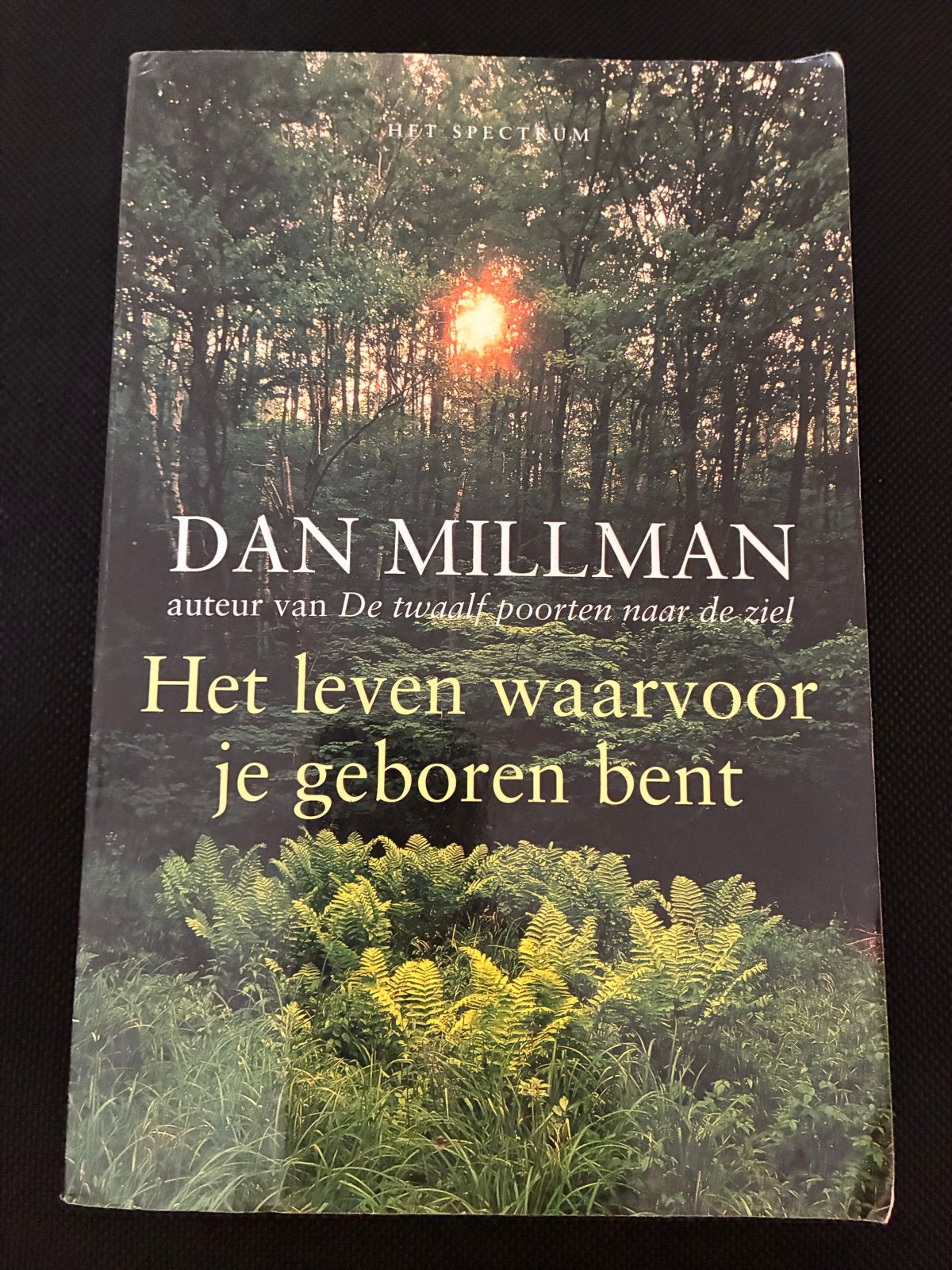 Het leven waarvoor je geboren bent - Dan Millman, Ophalen of Verzenden, Gelezen, Spiritualiteit algemeen, Achtergrond en Informatie