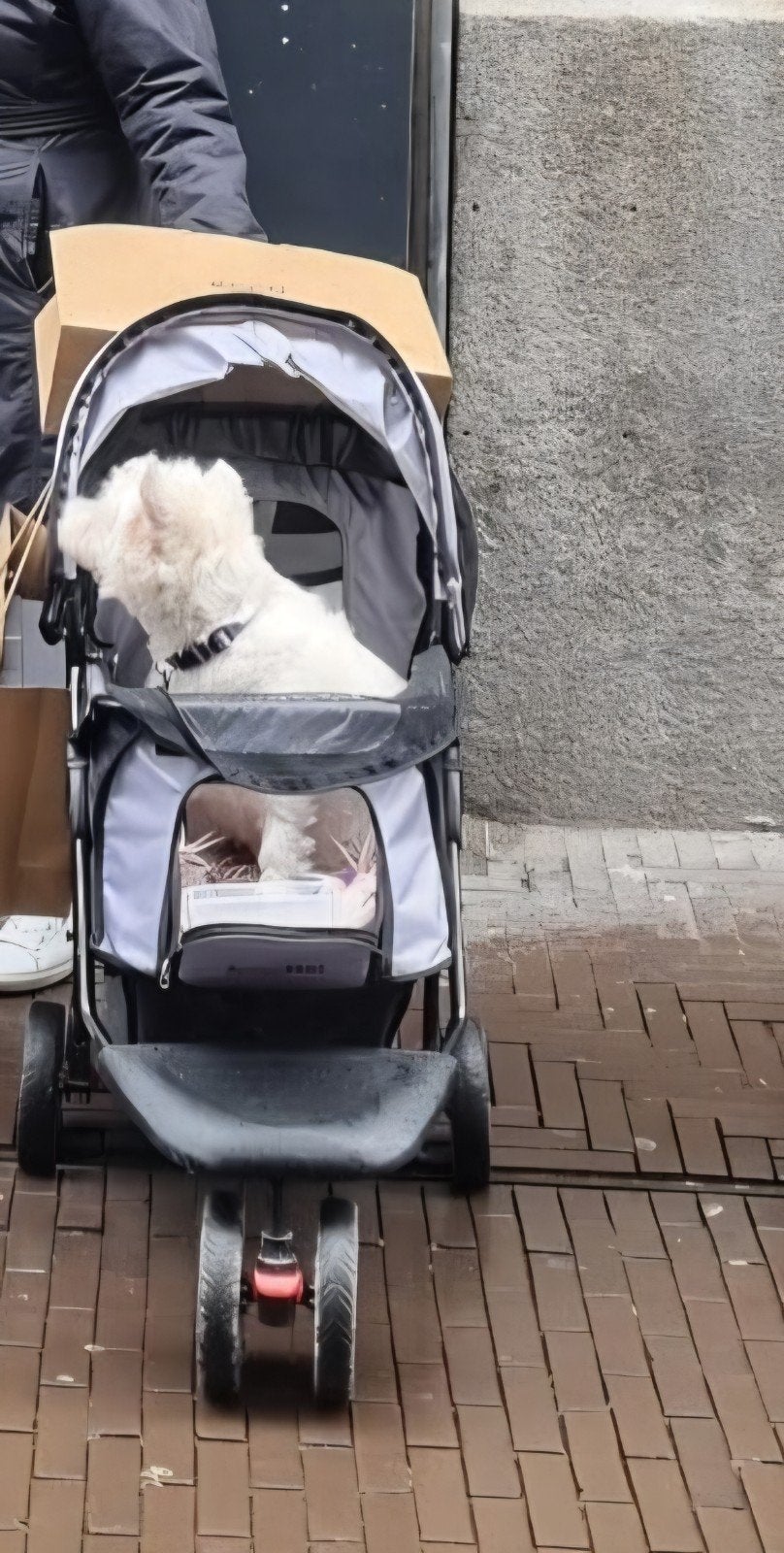 honden buggy, Dieren en Toebehoren, Ophalen