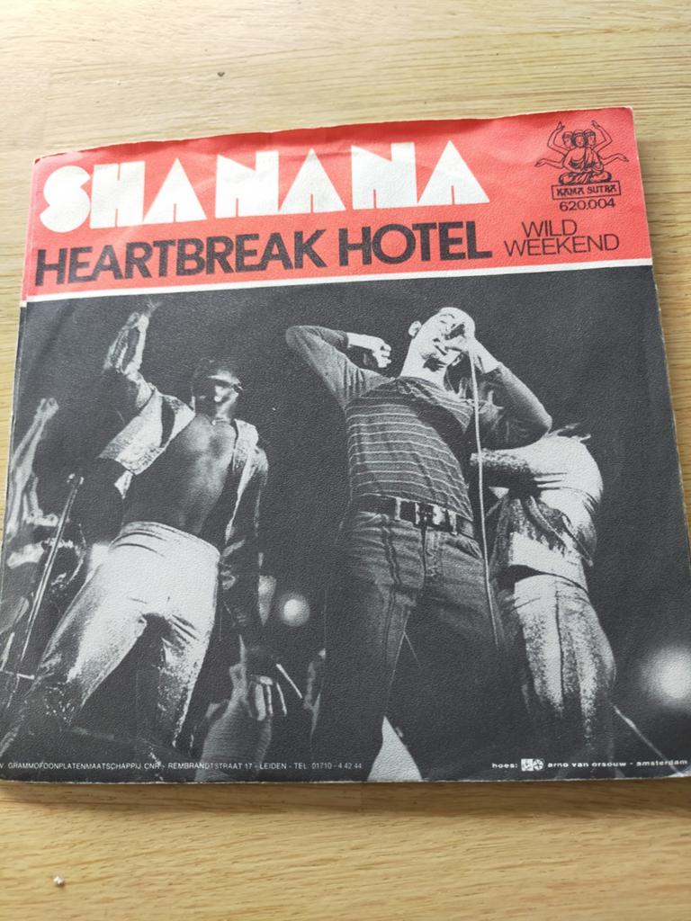 Shanana , heartbreak hotel, Ophalen of Verzenden, Zo goed als nieuw, Pop