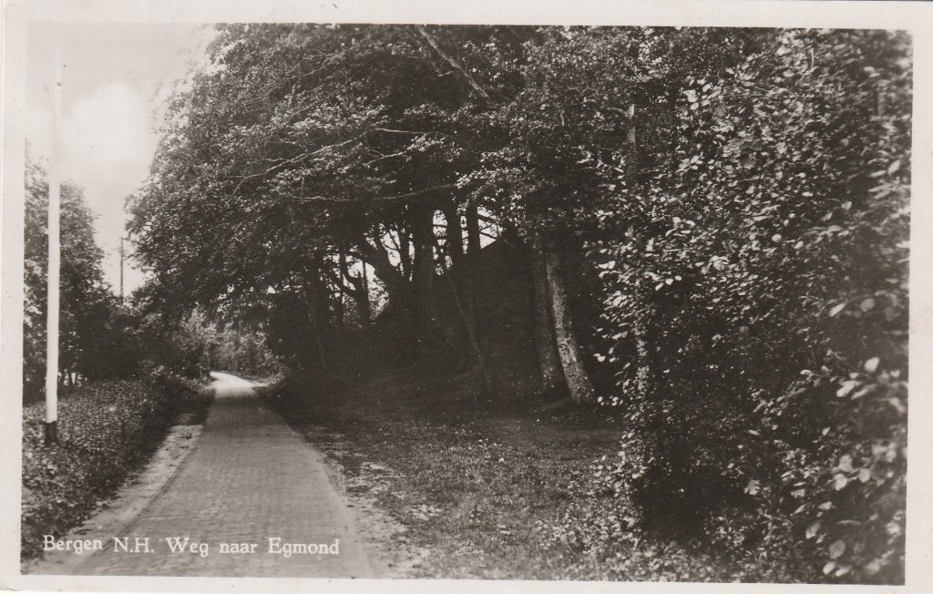 bergen- weg naar egmond, Ophalen of Verzenden, Voor 1920, Noord-Holland