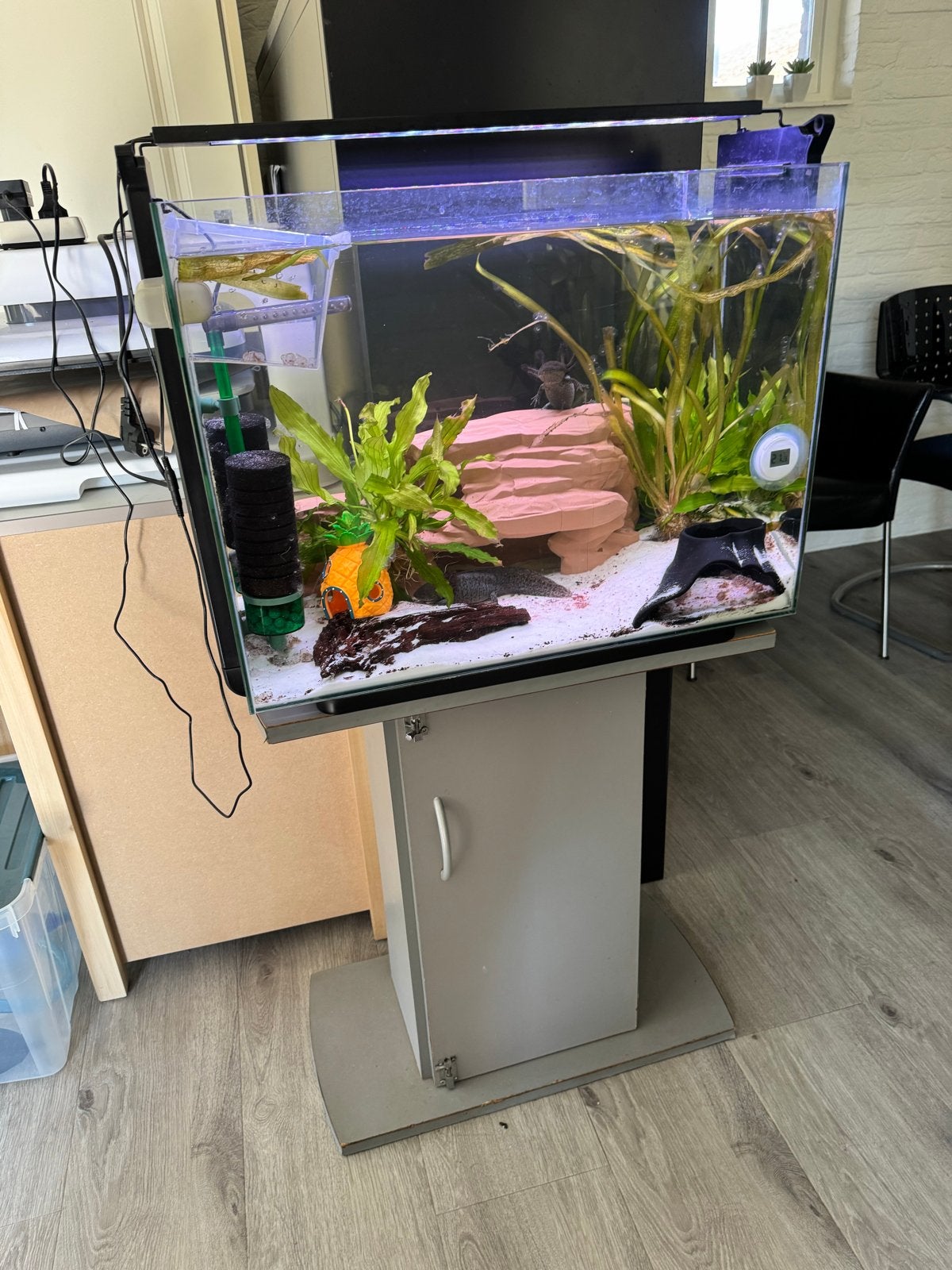 Aquarium met sponsfilter en lamp, Dieren en Toebehoren, Vissen | Aquaria en Toebehoren, Ophalen, Inclusief toebehoren, Nieuw, Leeg aquarium