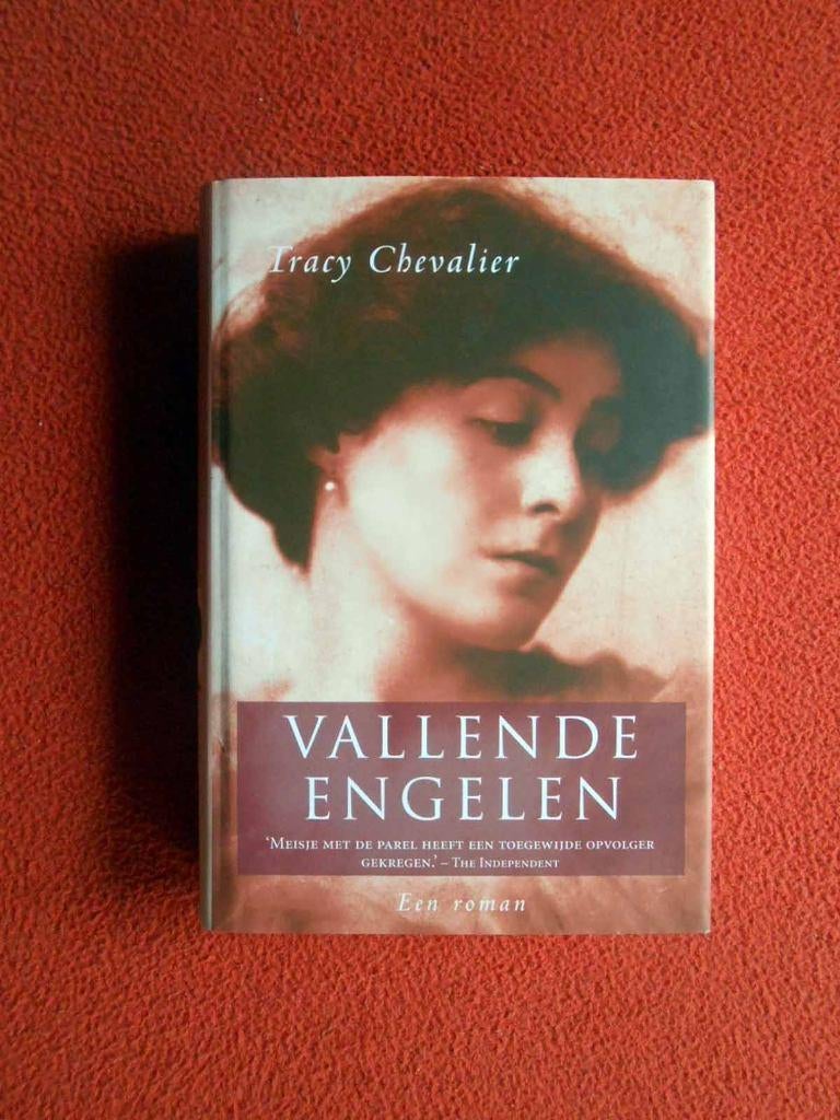 Tracy Chevalier: Vallende engelen, Ophalen of Verzenden, Nieuw