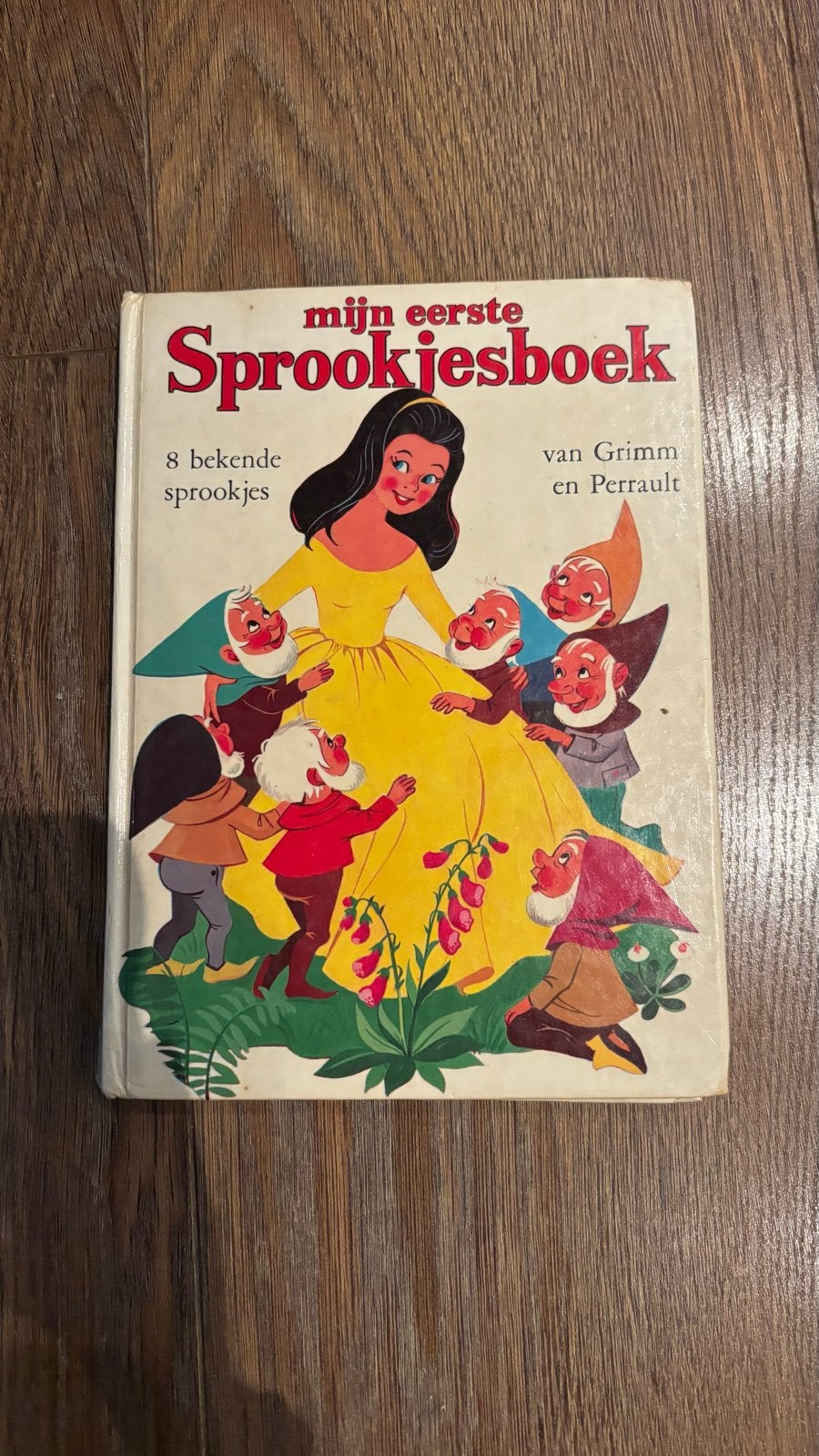 Mijn Eerste Sprookjesboek - Grimm en Perrault, Boeken, Sprookjes en Fabels, Ophalen of Verzenden, Gelezen