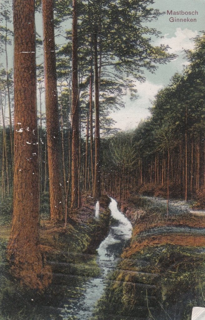 18954 Mastbosch Ginneken kaart 1910 Uitgave A van Erp, Verzenden, Voor 1920, Gelopen, Noord-Brabant