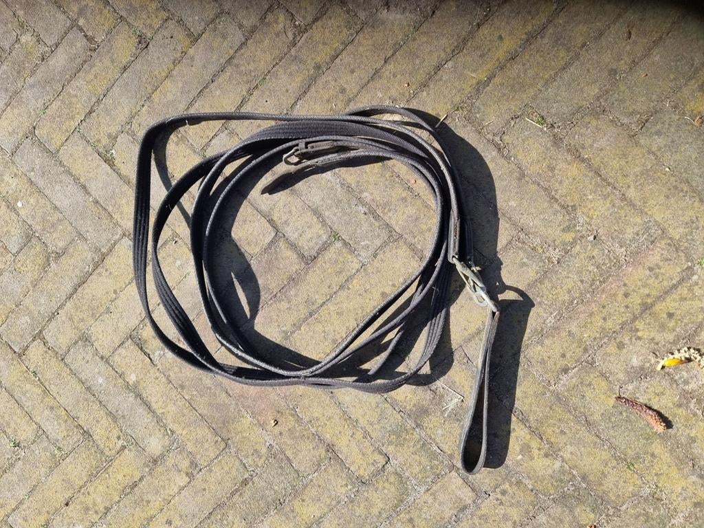 Slofteugel, Dieren en Toebehoren, Ophalen of Verzenden, Gebruikt, Overige soorten