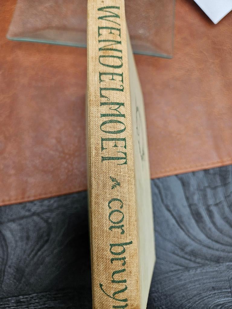 Cor Bruyn - Wendelmoet, Ophalen of Verzenden, Gelezen