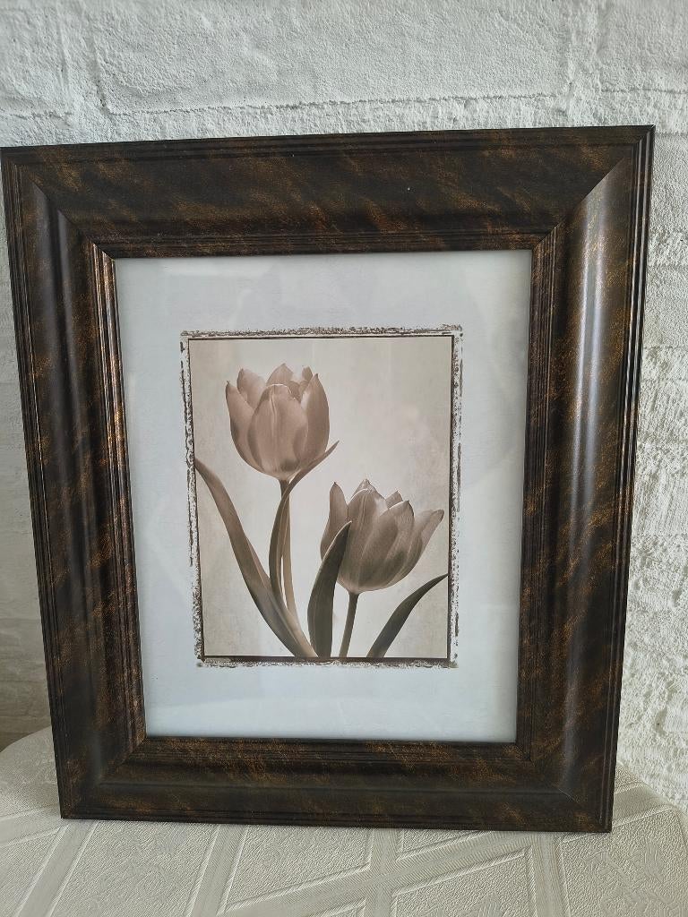 Schilderij Tulpen B.29xH.34 cm, Ophalen, Minder dan 50 cm, Zo goed als nieuw, Schilderij