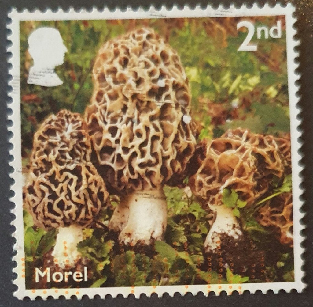279-26 Engeland / Morel, Verzenden, Gestempeld