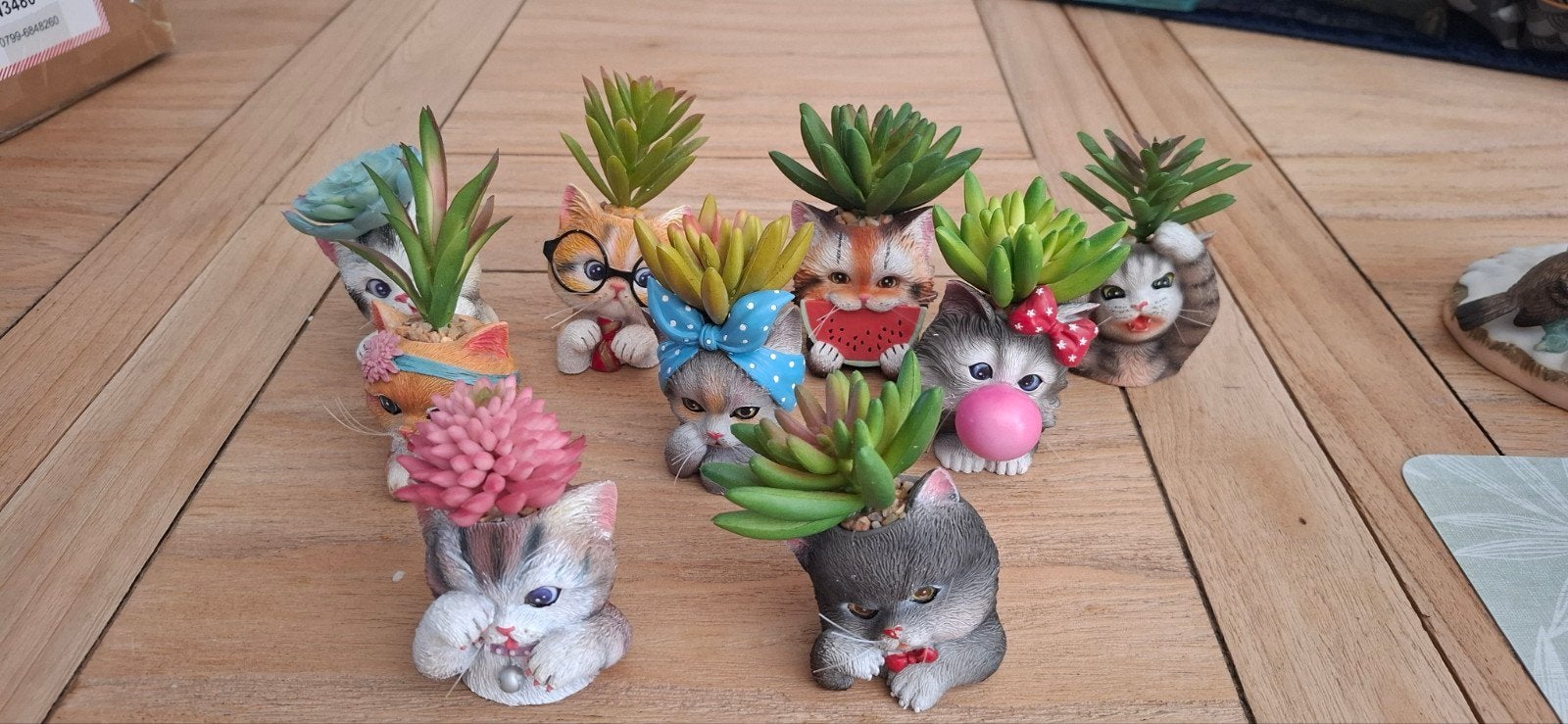 Poesjes met cactussen, Verzamelen, Beelden en Beeldjes, Ophalen of Verzenden, Zo goed als nieuw, Dier