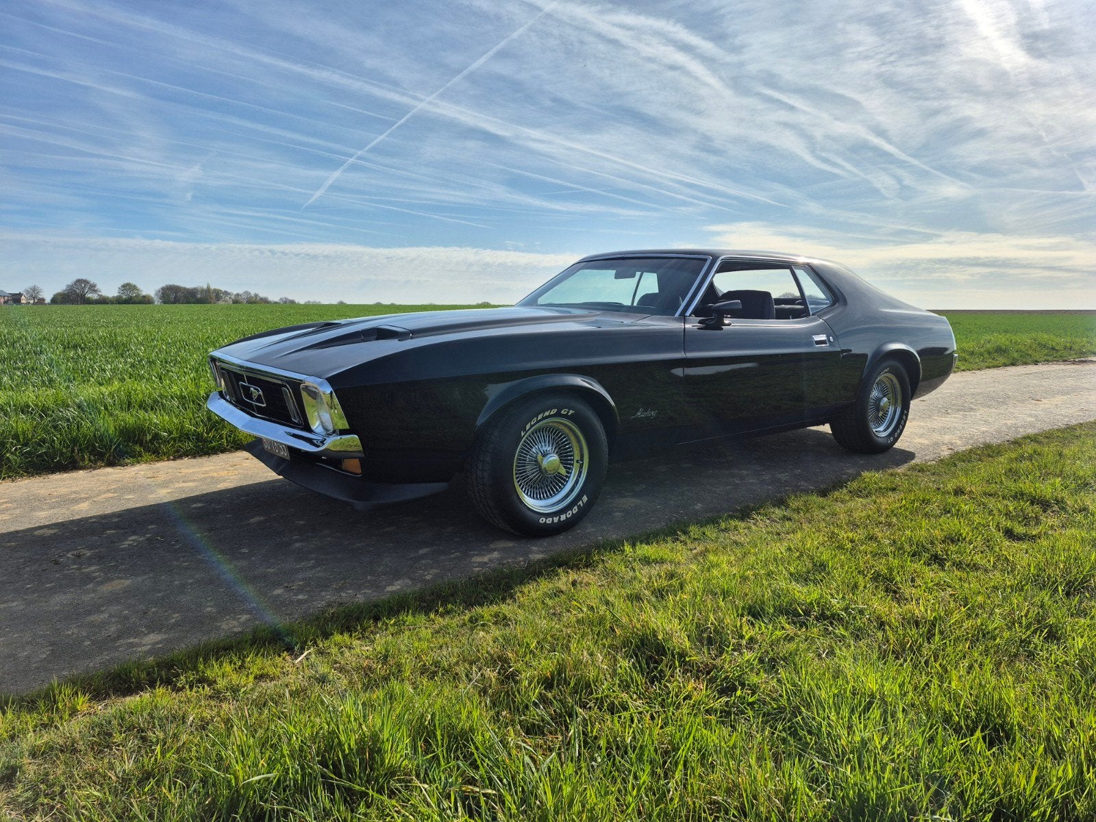 ford mustang 1973 grande 5 liter, Ophalen of Verzenden