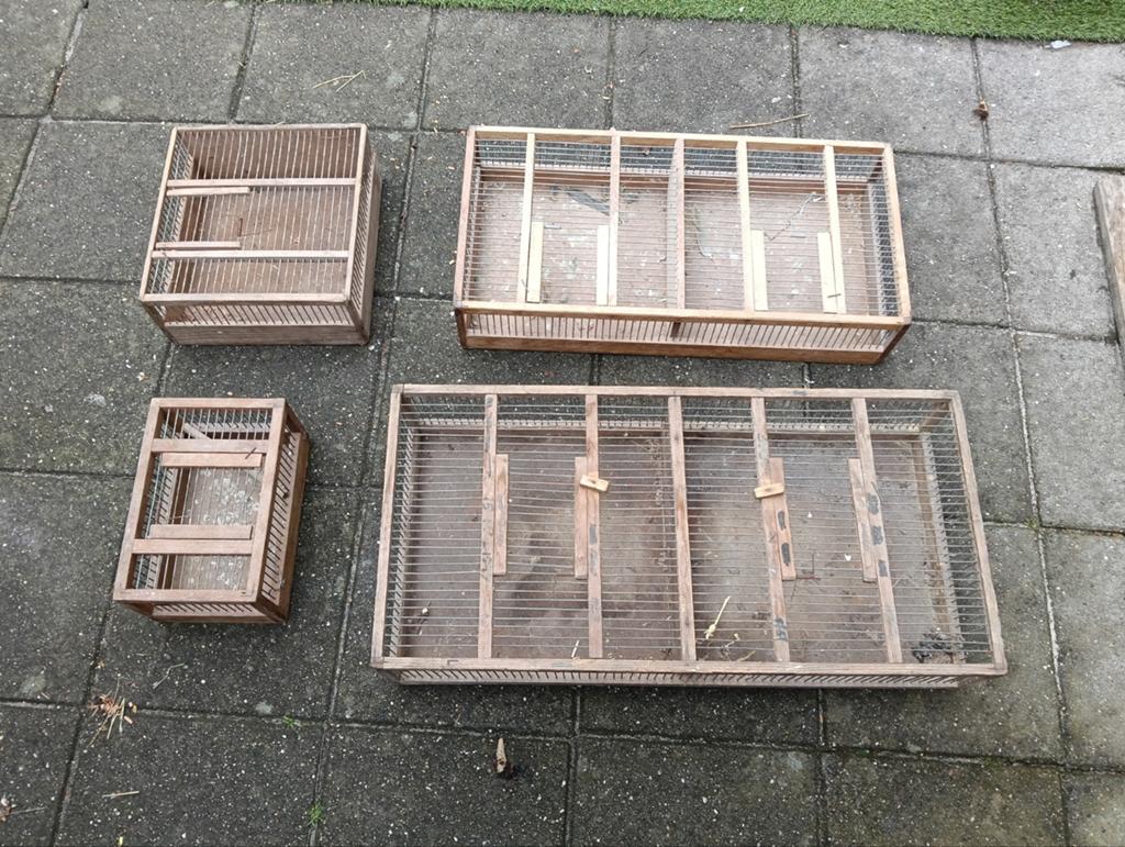 Transport kooien te koop, Ophalen, Gebruikt, Hout, Overige typen