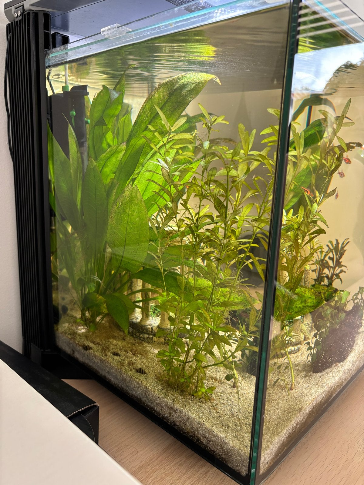 Foto 3 van Aquarium 60L all inclusive