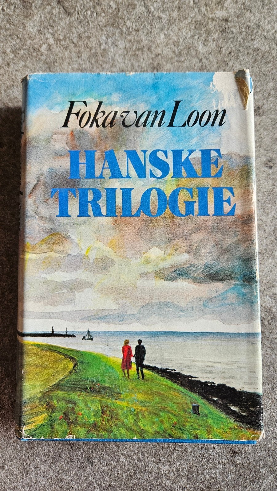 Foka van Loon - Hanske Trilogie (Boek), Ophalen of Verzenden, Gelezen, Foka van Loon, Nederland