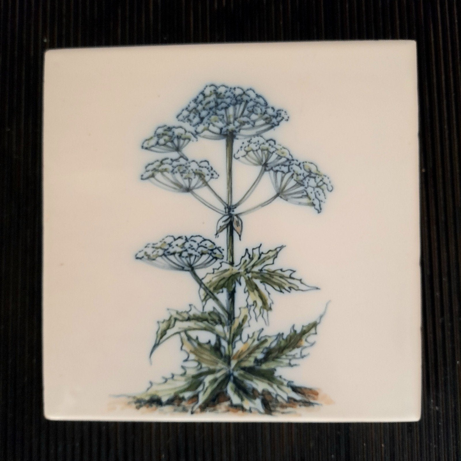 Handgemaakt Majolicategel met berenklauw Harlinger Aardewerk, Ophalen of Verzenden