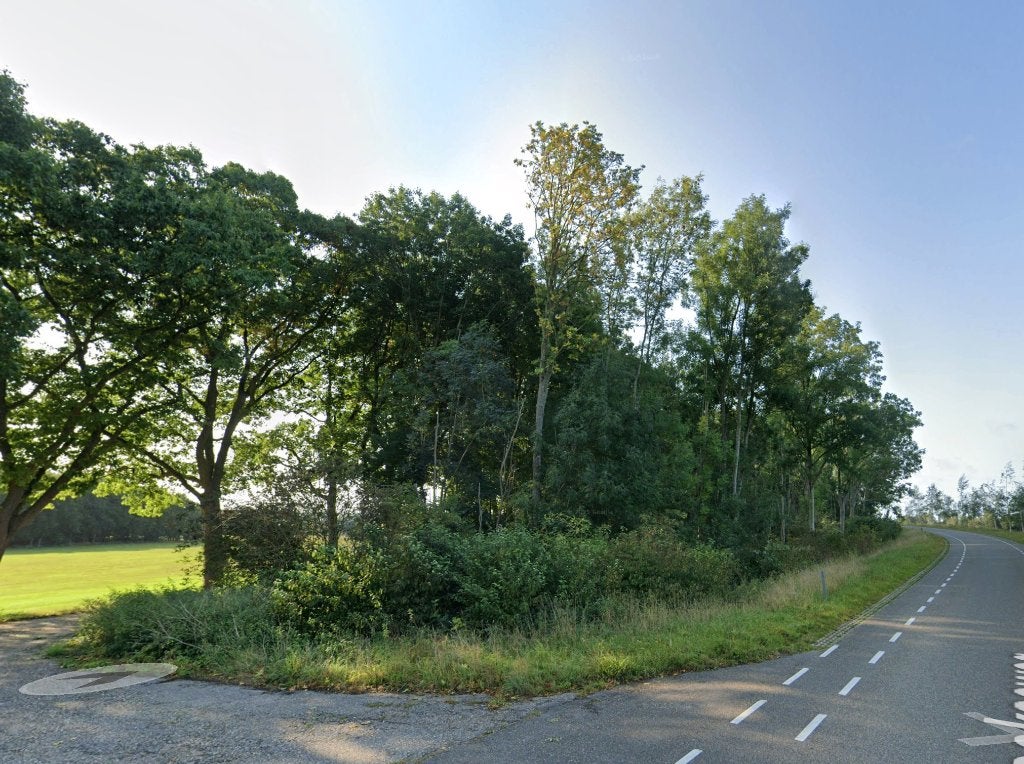 Perceel (bos)grond gelegen aan de Beekseweg te Wehl, Wehl, 1500 m² of meer