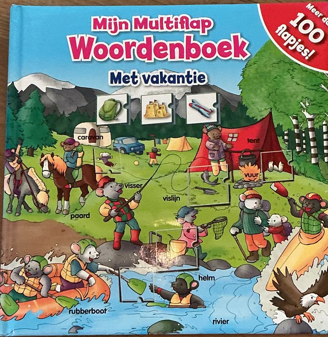 Mijn Multiflap Woordenboek Met Vakantie, Boeken, Non-fictie, Uitklapboek, Jongen of Meisje, Ophalen of Verzenden