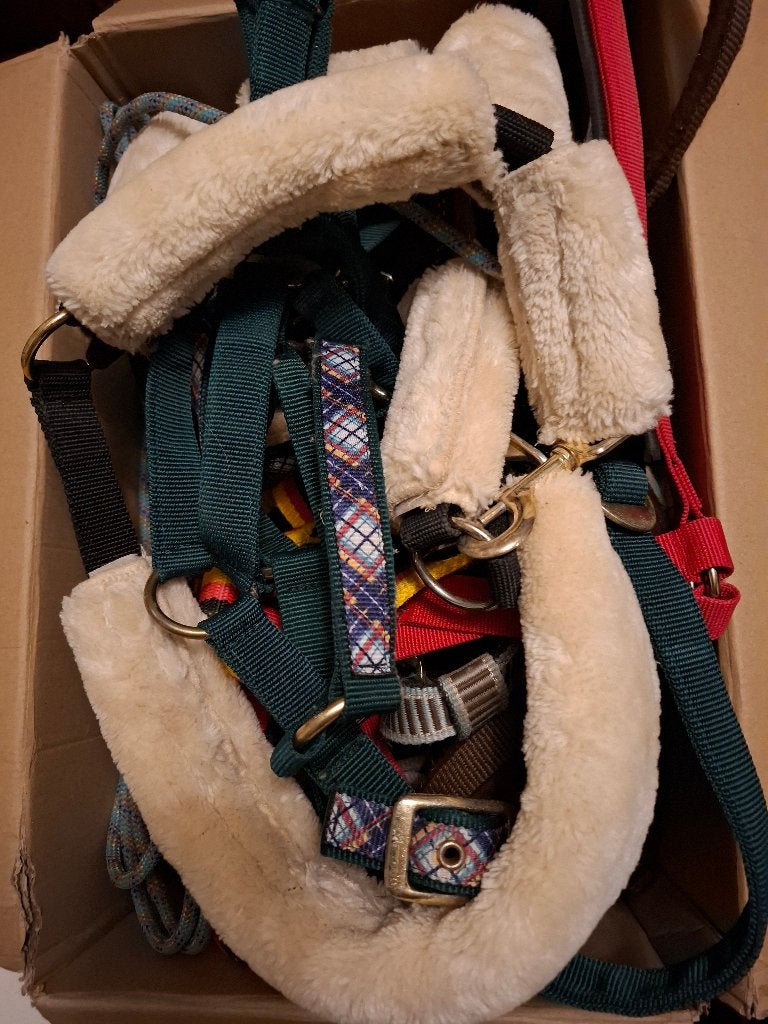 Halsters, borstels en hoevenkrabbers, Dieren en Toebehoren, Ophalen, Gebruikt