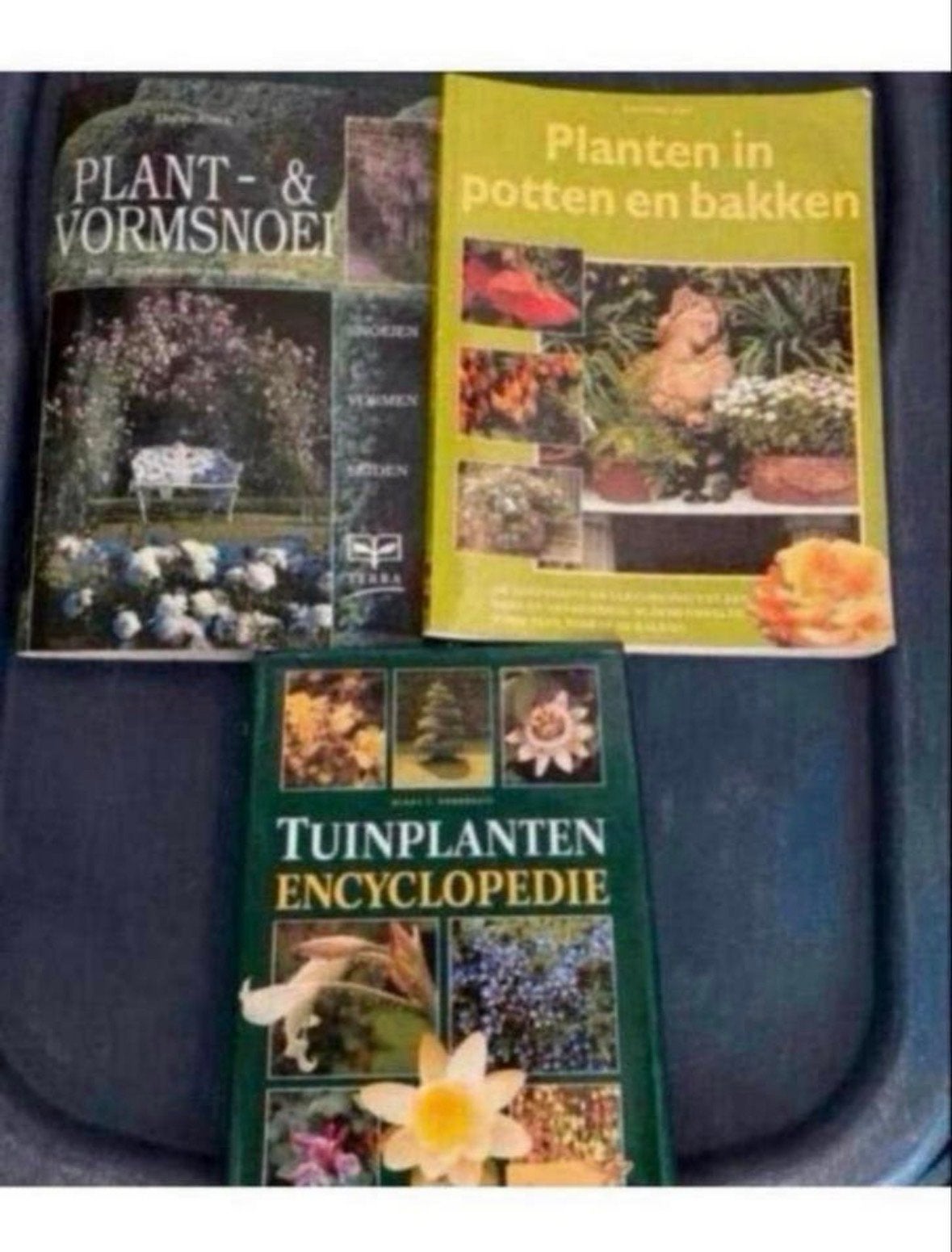 Tuinboeken: Planten, Vormsnoei, Potten & Tuinplanten Encyclo, Ophalen of Verzenden, Gelezen, Tuinieren en Tuinplanten