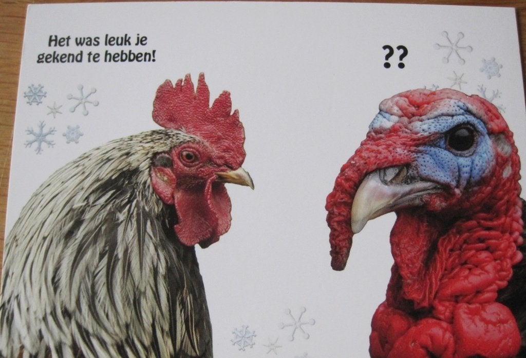 Het was leuk je gekend te hebben - kalkoen en kip, Verzenden, 1980 tot heden, Ongelopen, Overige thema's