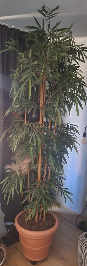 Prachtige grote kunstplant (bamboe) met pot, Huis en Inrichting, Kamerplanten, Ophalen, Overige soorten, In pot, 200 cm of meer