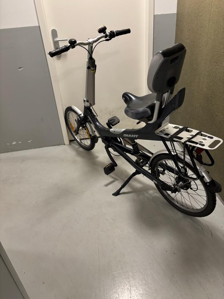 Giant Revive fiets, Ophalen, Velgrem, Giant, 50 tot 53 cm