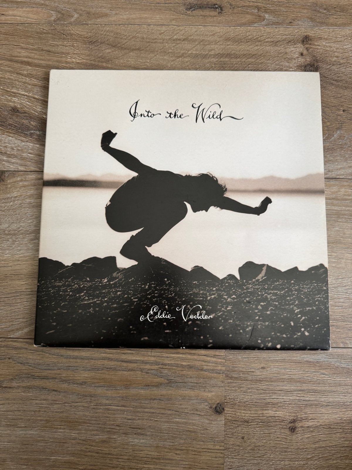 Eddie Vedder - Into the Wild LP (Soundtrack) Origineel 2010!, LP, Rock, Ophalen of Verzenden, 12 inch
