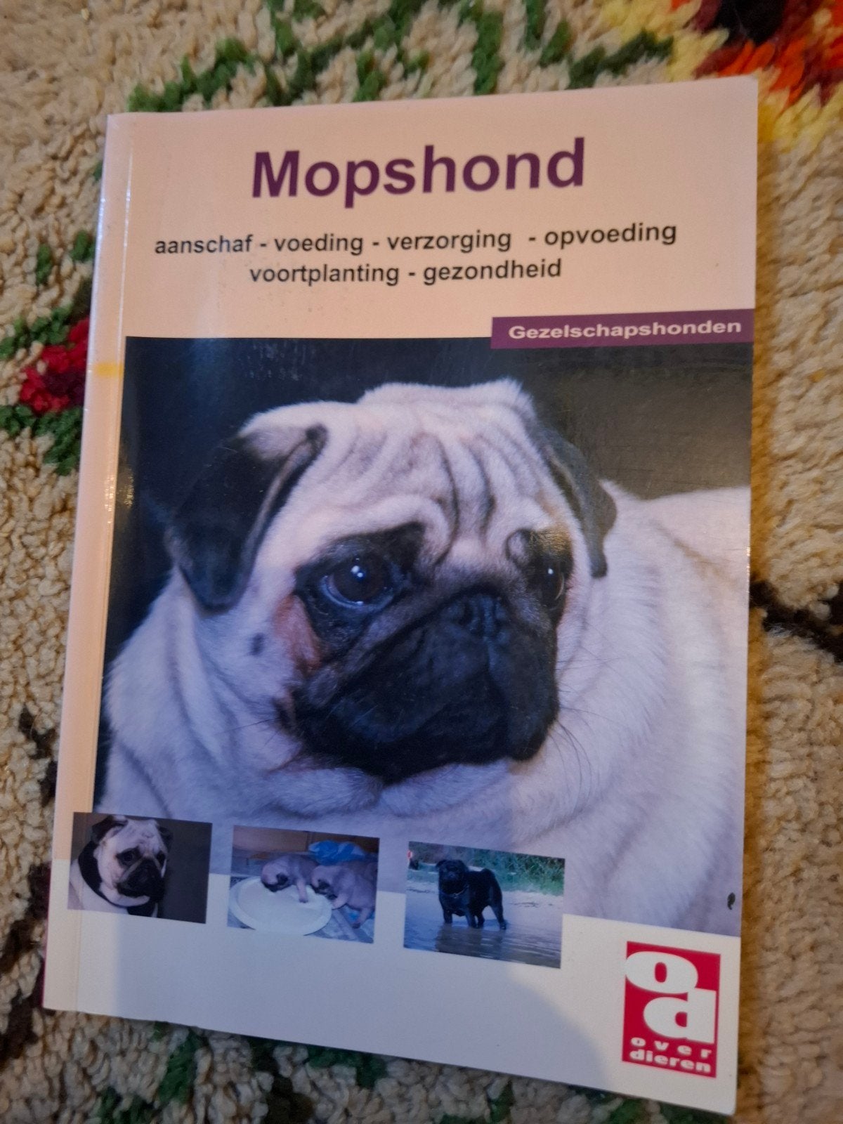 Mopshond boek: aanschaf, voeding, verzorging, opvoeding, Ophalen of Verzenden, Gelezen, Honden, Onbekend