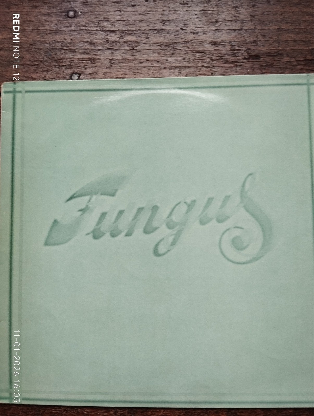 FUNGUS  NEDERLANDSE VOLKSMUZIEK., Ophalen of Verzenden, Zo goed als nieuw, Overige formaten, Levenslied of Smartlap