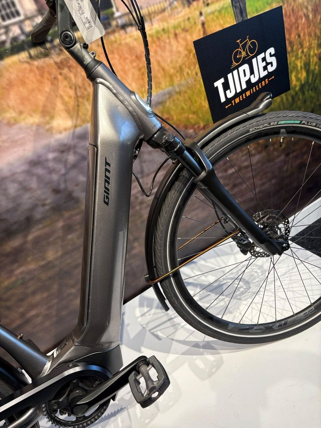 Giant DailyTour Dames E-bike | 57 cm | ACTIE €1.995, Fietsen en Brommers, Gebruikt, -, -, -