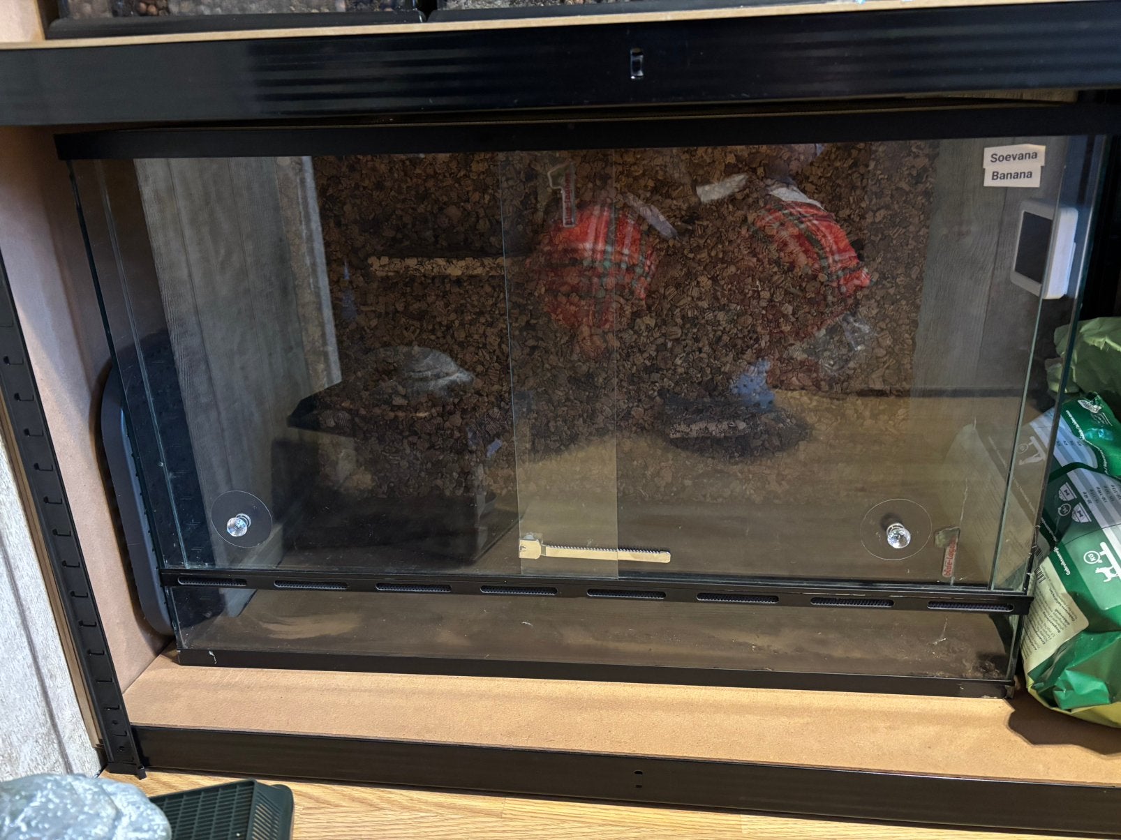 Blue lagoon terrarium met achterwand 80x50x40, Ophalen, Zo goed als nieuw, Terrarium of Paludarium