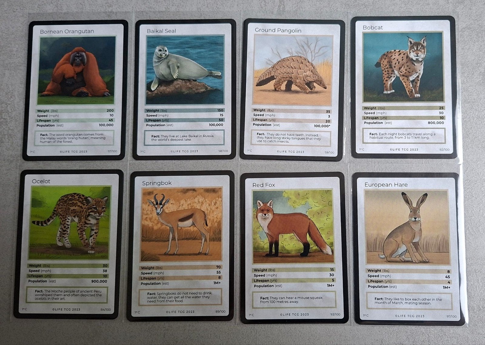 Life TCG Special Edition Mammals Losse Kaarten C 57-97, Ophalen of Verzenden, Nieuw, Losse kaart, Foil