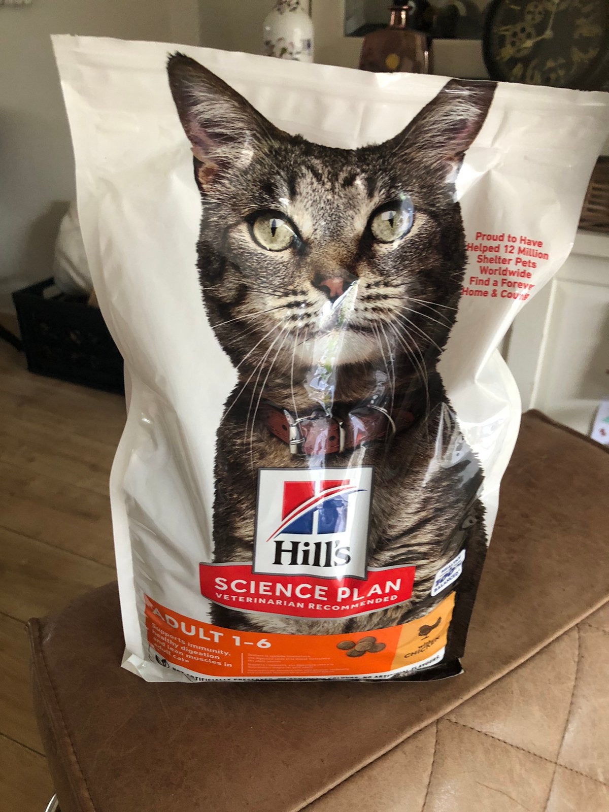 Hill’s science plan 1-6jr katten brokken 1,5 kg, Ophalen, Kat