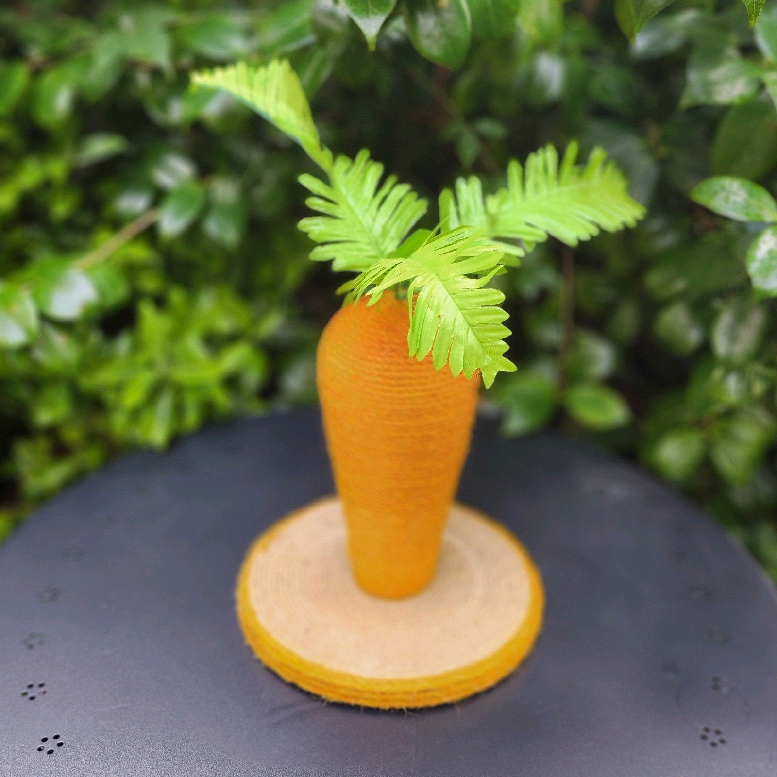 Wortel Krabpaal, Tuin en Terras, Ophalen of Verzenden, Minder dan 100 cm, Overige soorten, Zomer