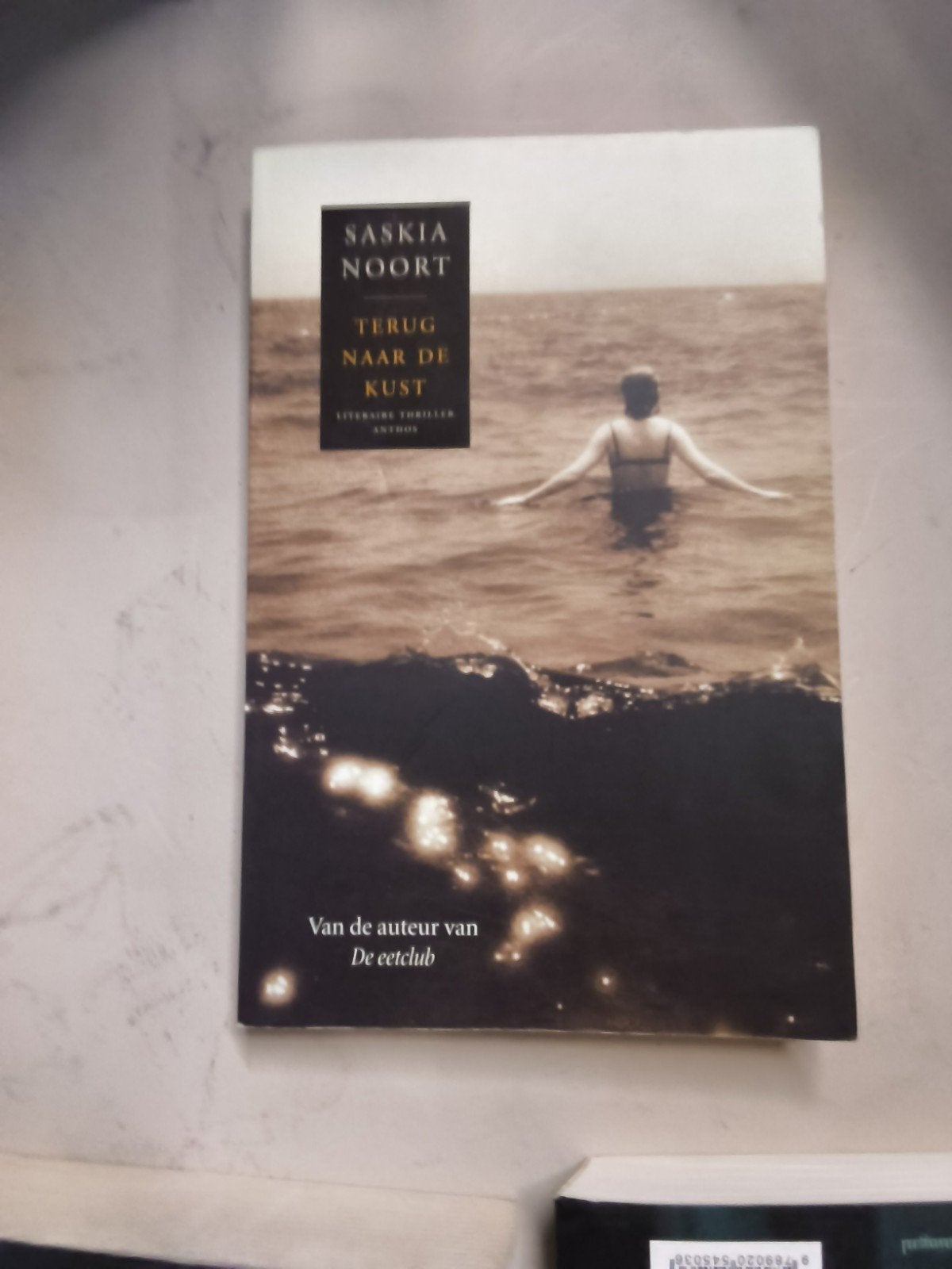 Diverse boeken: thrillers, romans en meer, Ophalen of Verzenden, Gelezen, Diverse auteurs, Nederland