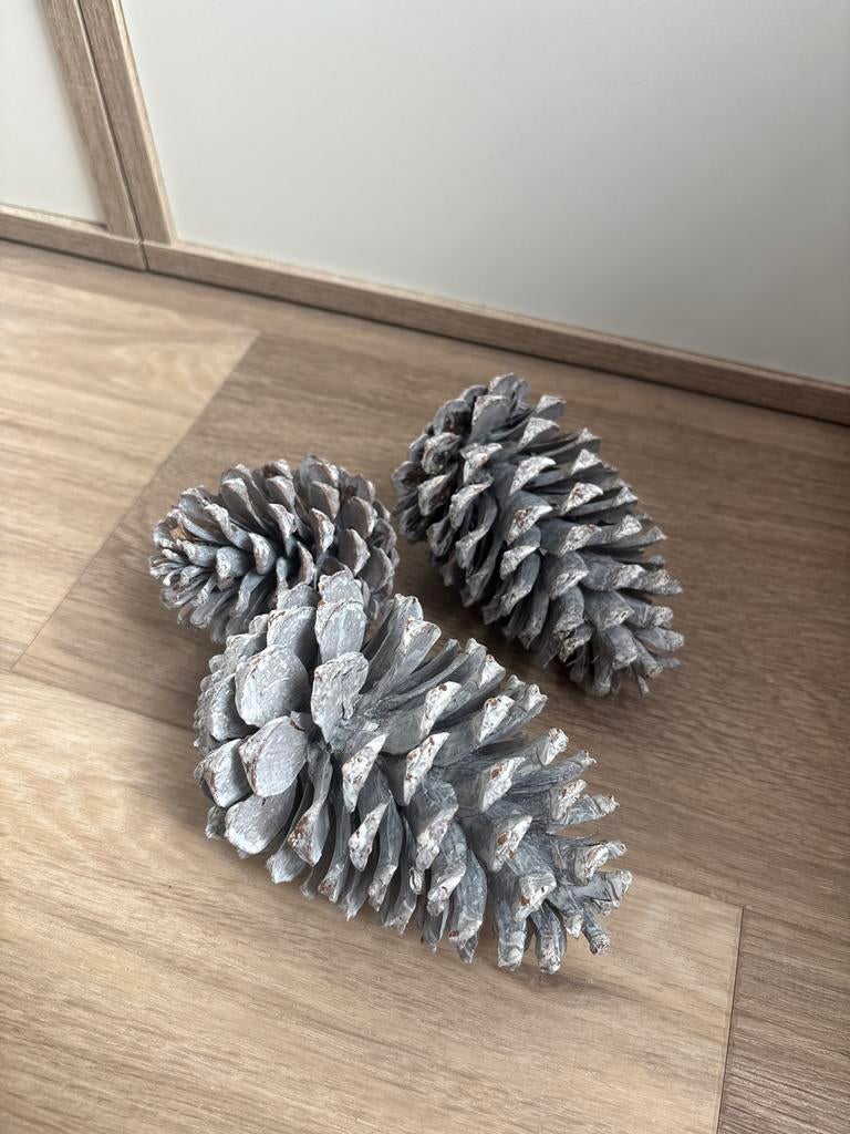 Decoratieve dennenappels, Diversen, Kerst, Ophalen of Verzenden, Zo goed als nieuw