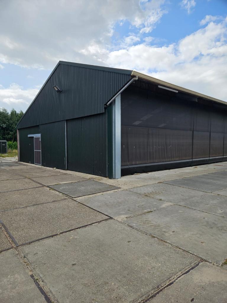 te huur, Stalling, 4 paarden of pony's of meer