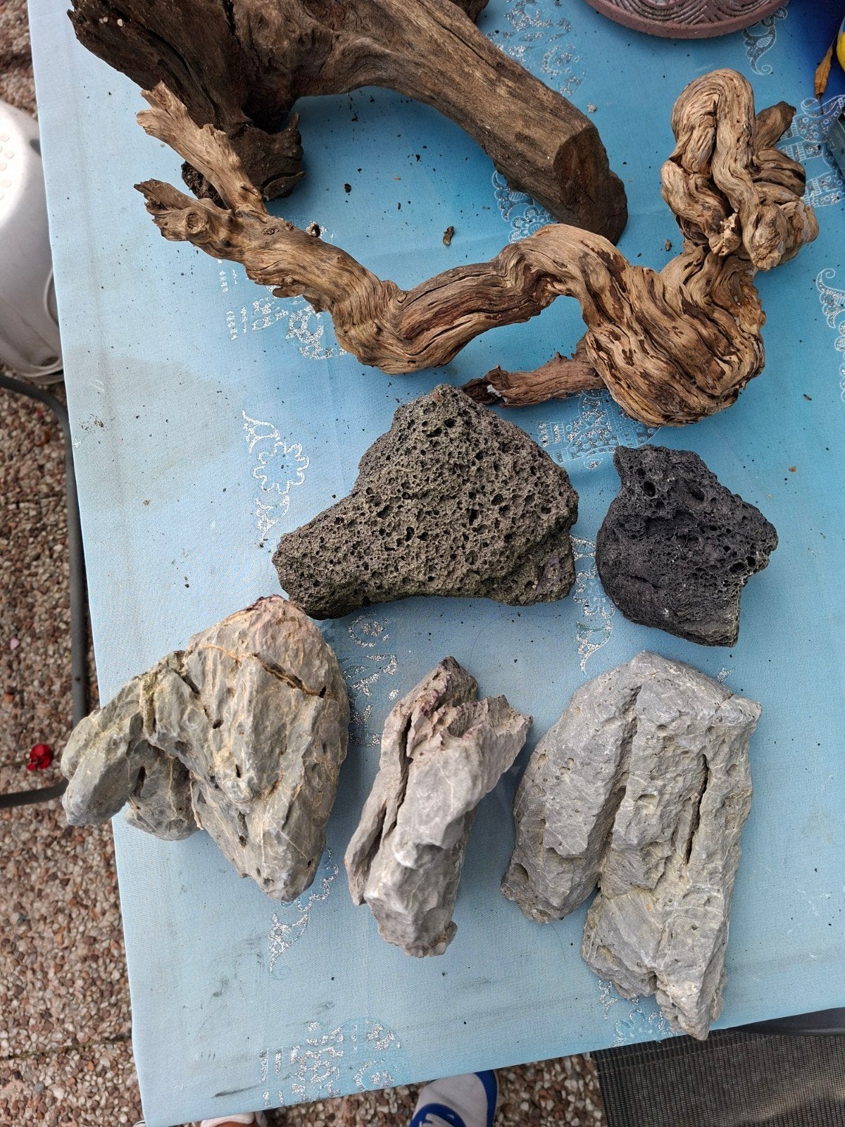 voor aquarium of Terrarium alles 15 euro, Ophalen