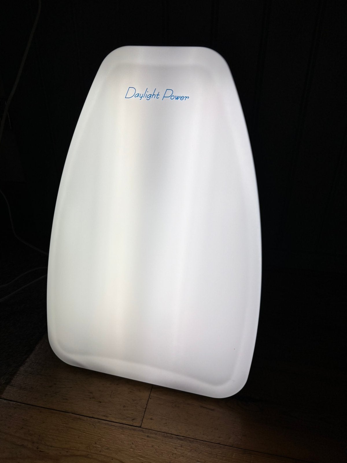 Daylight Power daglichtlamp, Ophalen of Verzenden, Zo goed als nieuw, Overige typen