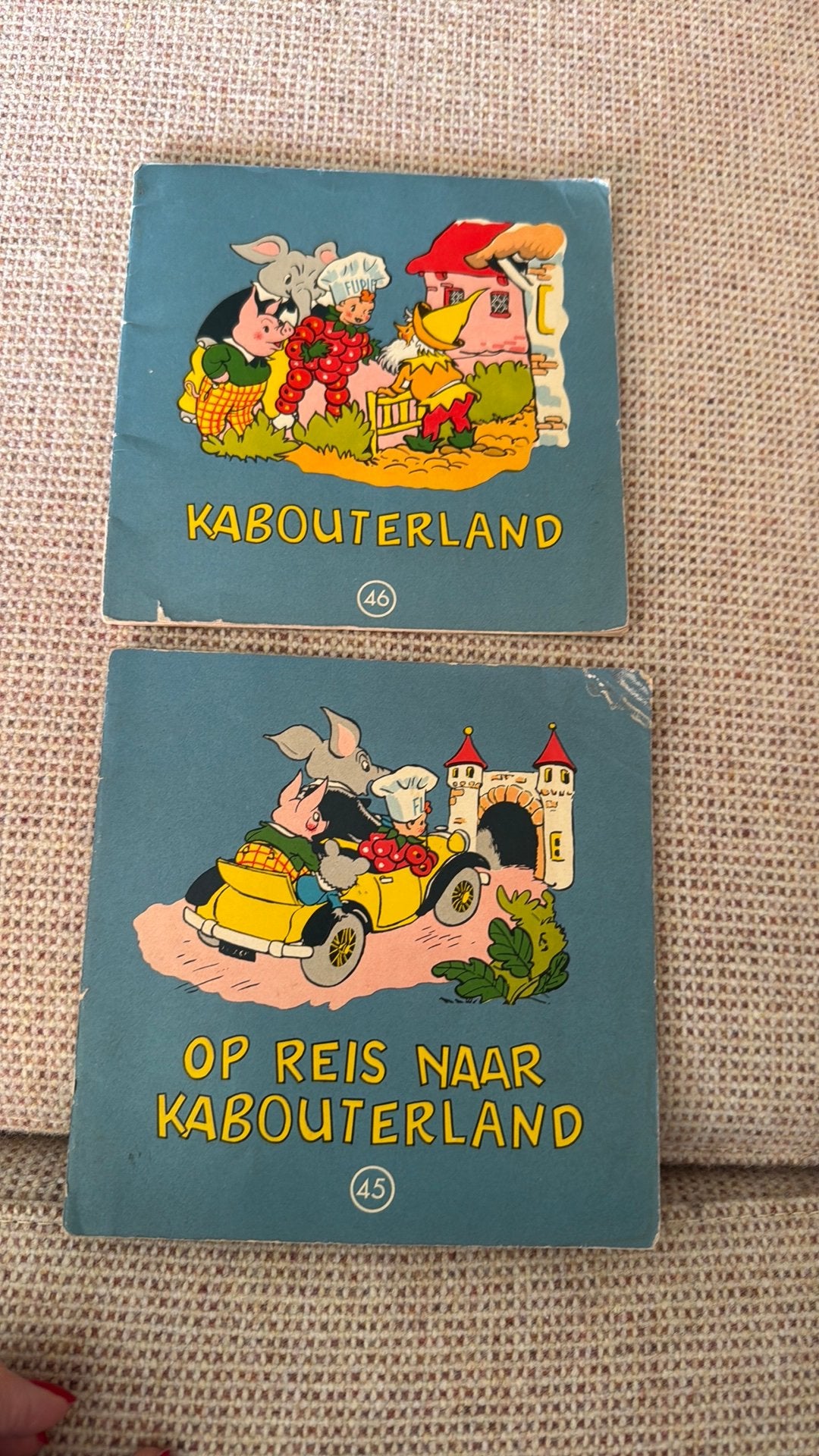 Flipje van de Betuwe 1966, Meerdere stripboeken, Ophalen of Verzenden, Zo goed als nieuw