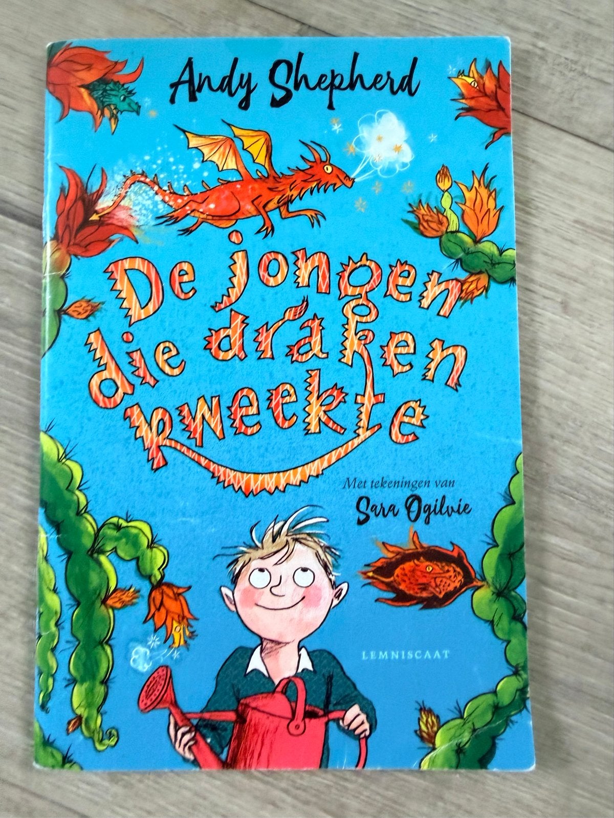 De jongen die draken kweekte - Andy Shepherd, Ophalen of Verzenden, Zo goed als nieuw, Fictie