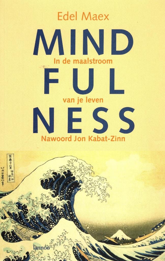 Mind ful ness, in de maalstroom van je leven. Nawoord Jon Ka, Ophalen of Verzenden, Zo goed als nieuw, Overige onderwerpen, Overige typen