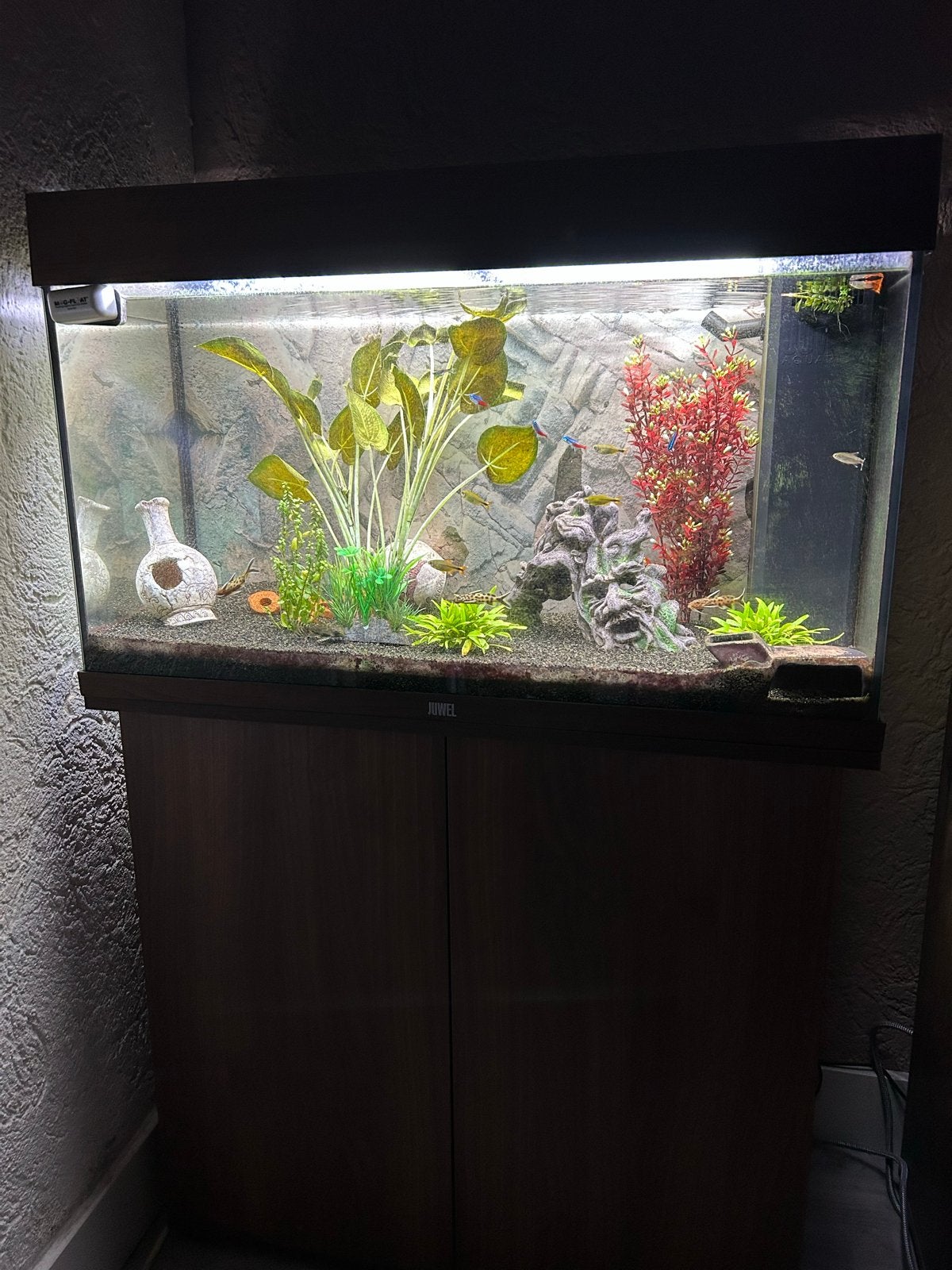 Juwel Rio 125, Ophalen, Zo goed als nieuw, Leeg aquarium, Juwel