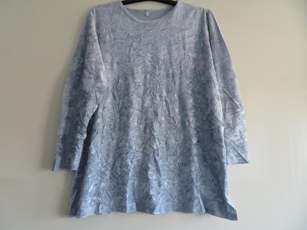VELOURS Trui /Top Zilvergrijs, Kleding | Dames, Maat 46/48 (XL) of groter, Ophalen of Verzenden, Zo goed als nieuw, Lange mouw