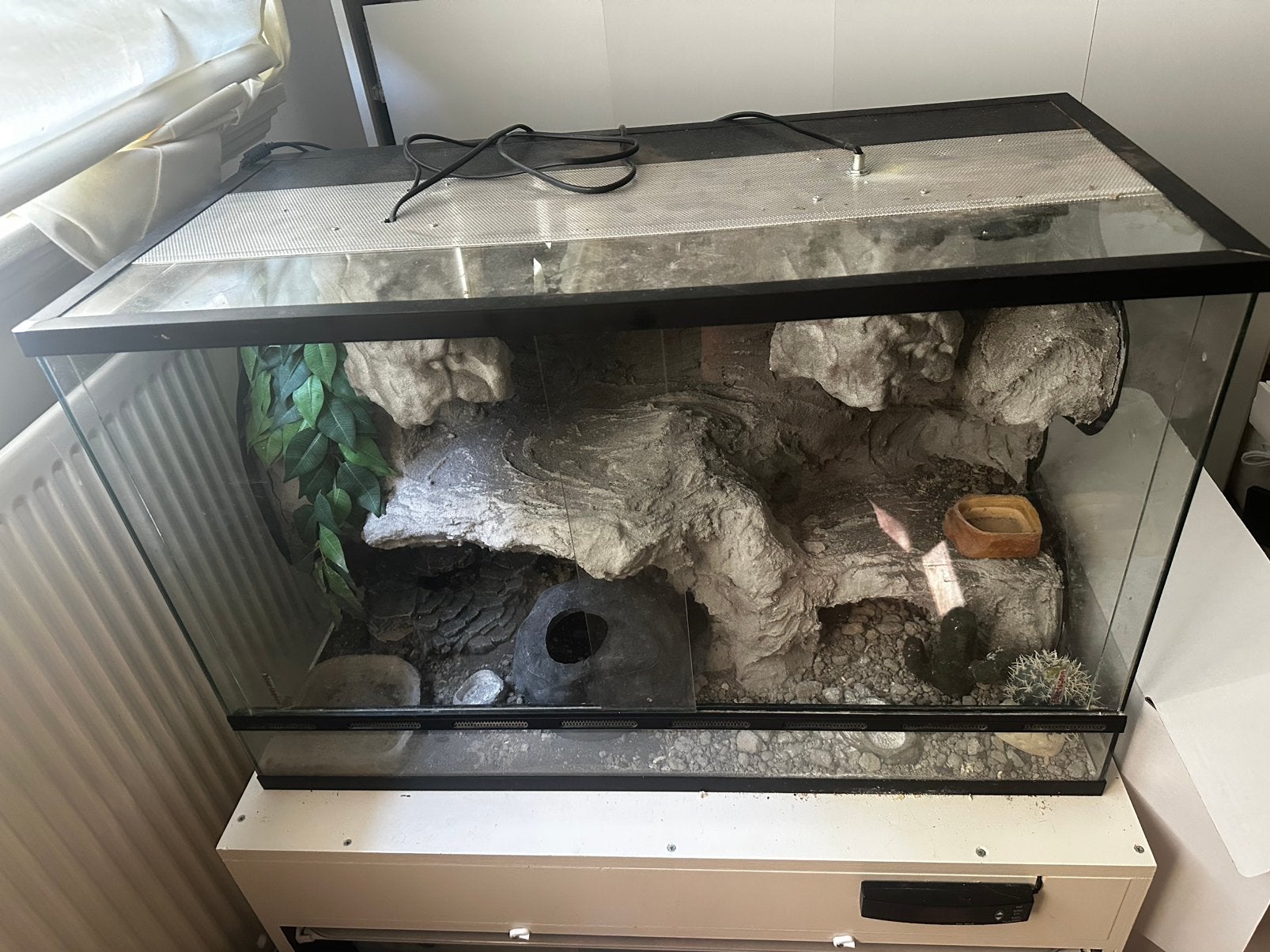 Terrarium met bijbehorende spullen, Ophalen, Zo goed als nieuw, Terrarium of Paludarium