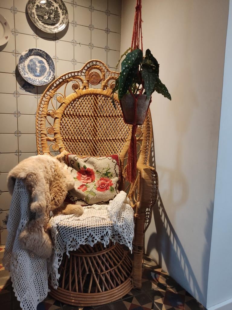 Rotan Vintage Retro Pauwenstoel groot. Heel gaaf exemplaar!, Huis en Inrichting, Ophalen, Zo goed als nieuw, Bruin, Eén