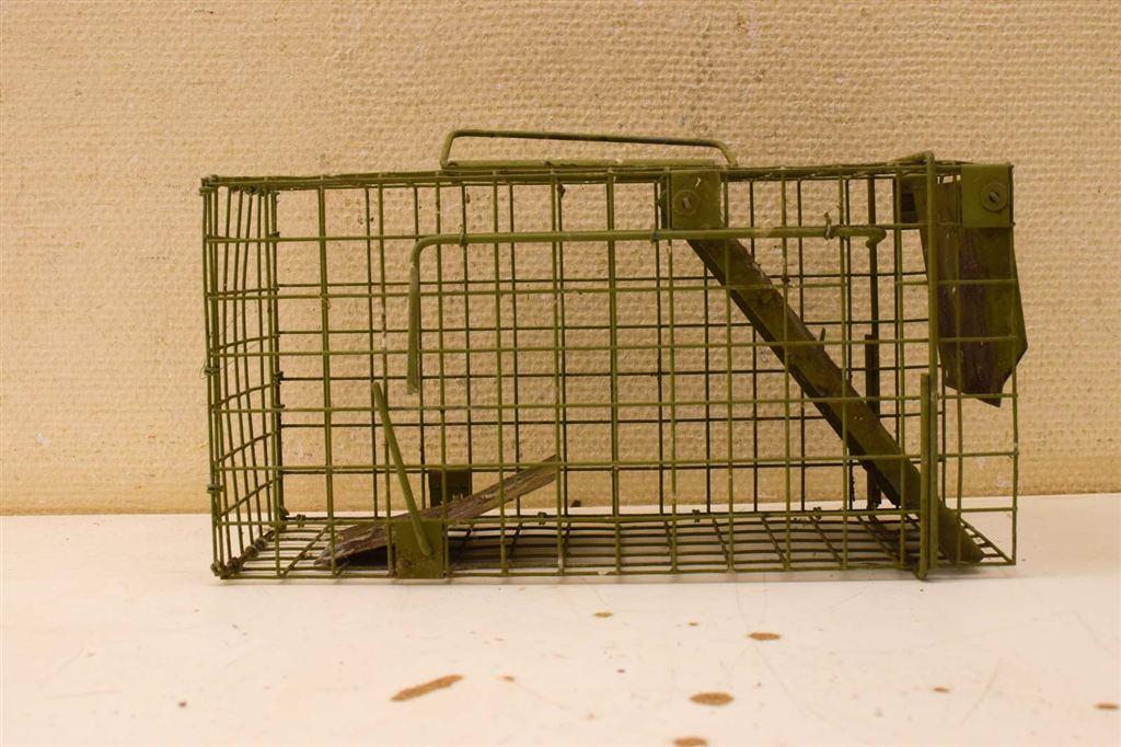 Rattenvangkooi 50202, Ophalen of Verzenden, Gebruikt, Hout, Vogelkooi
